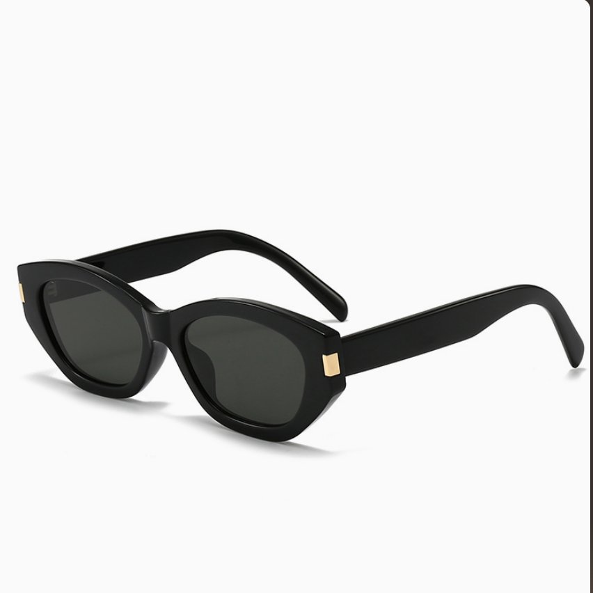 B815 SUNGLASSES